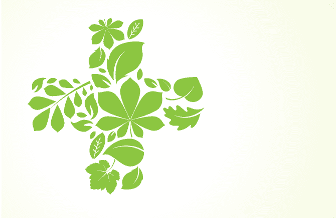 Multi Purpose Brochure